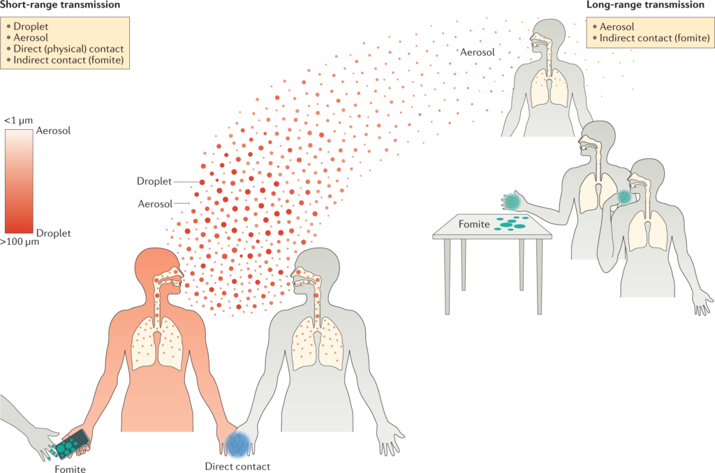 Influenza virus transmission