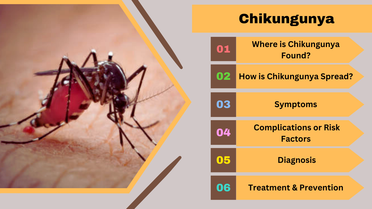 Chikungunya