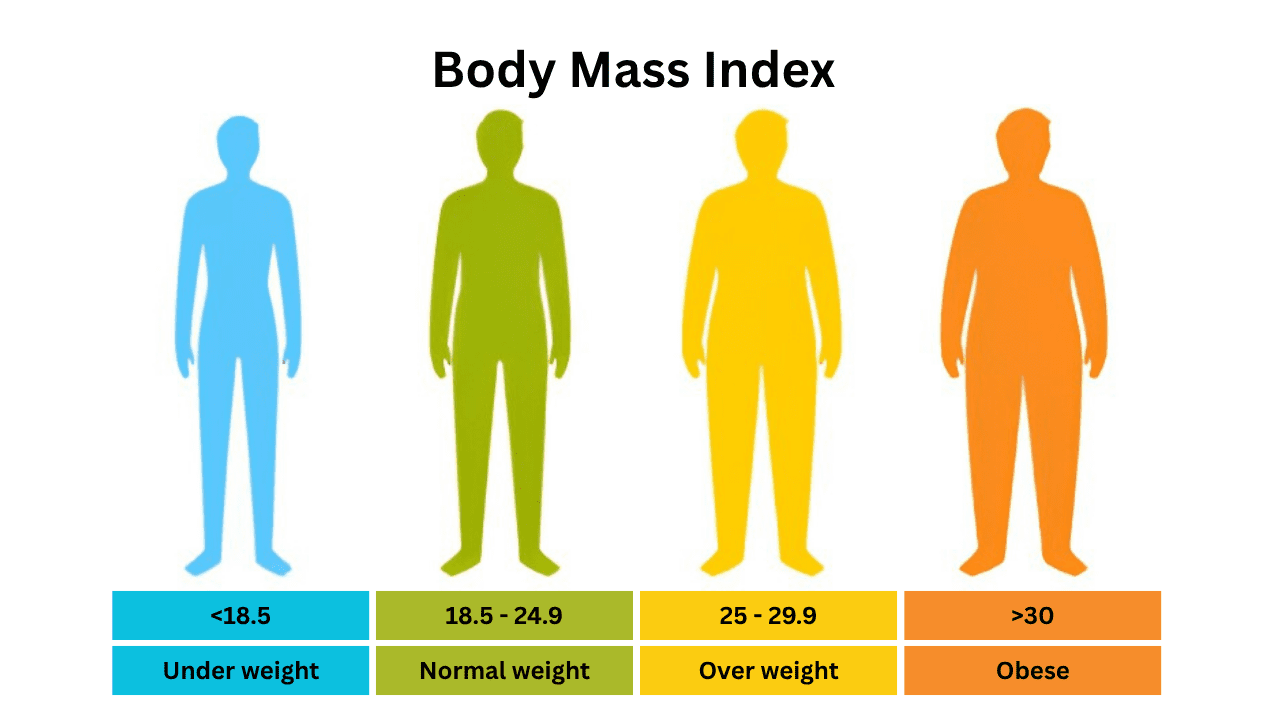 Free BMI Calculator - Check Your Body Mass Index Online Instantly